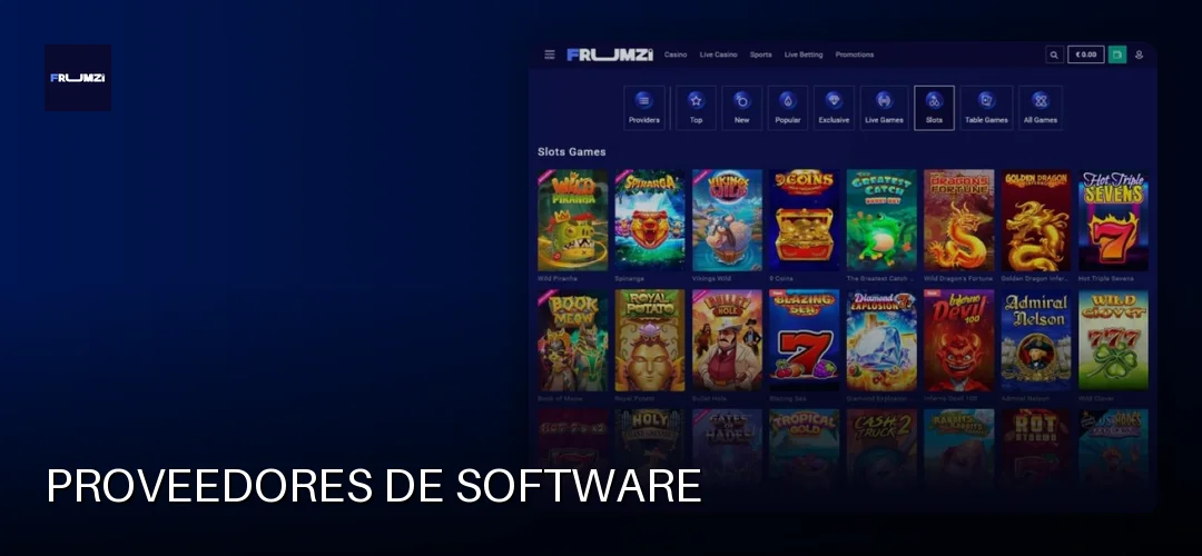 Proveedores de software